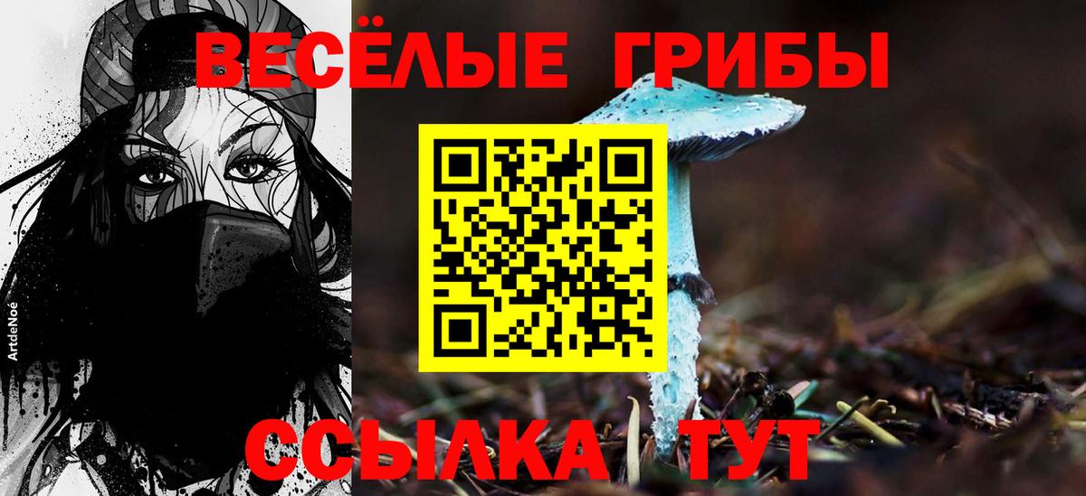 Галлюциногенные грибы GOLDEN TEACHER  Вход с VPN  Ачинск 